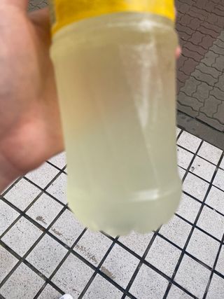 콩표님이 올린 리뷰 사진 4