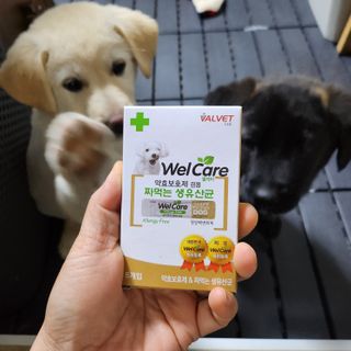 LOVE님이 올린 리뷰 사진 1