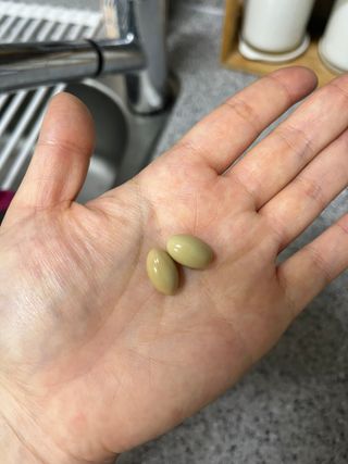여름님이 올린 리뷰 사진 3