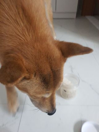 루비님이 올린 리뷰 사진 3