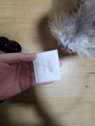 신들린썬님이 올린 리뷰 사진 3