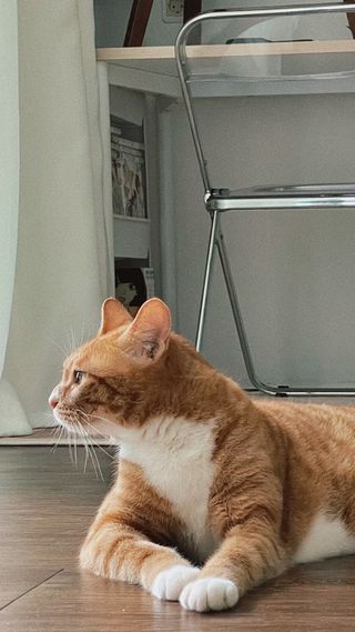 지니그님이 올린 리뷰 사진 4