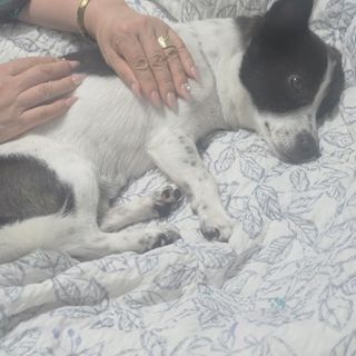 노이님이 올린 리뷰 사진 4