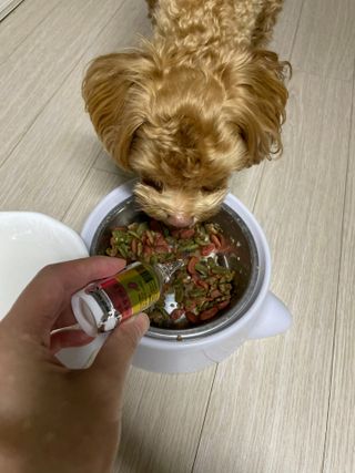 ehlove님이 올린 리뷰 사진 4