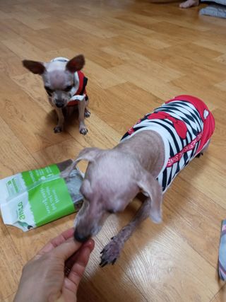 쪼꼬사랑이언니님이 올린 리뷰 사진 3