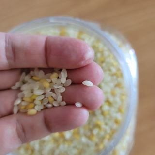 하나로라이스 바로짓는 혼합백미 여주쌀 2kg 3종 택1 — 5점을 준 리뷰어가 2022년 4월 올린 사용 사진