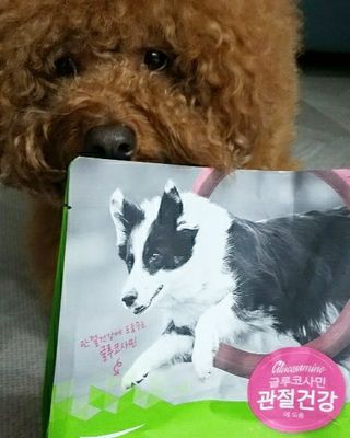 [풀무원아미오] 건강담은식단 1kg 3종 — 5점을 준 리뷰어가 2021년 2월 올린 사용 사진