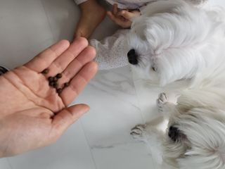 수니니님이 올린 리뷰 사진 4