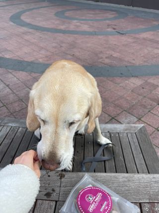 두치뿌꾸빵빵님이 올린 리뷰 사진 1