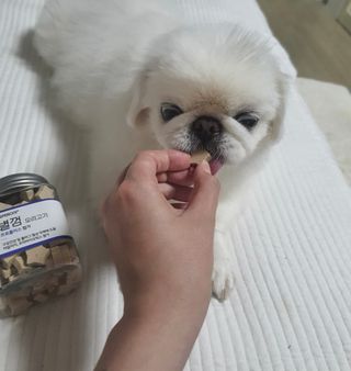 이승연님이 올린 리뷰 사진 2