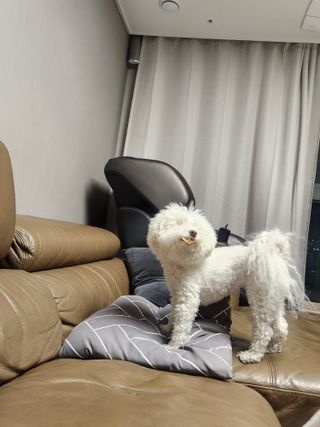 쥬쥬님이 올린 리뷰 사진 3
