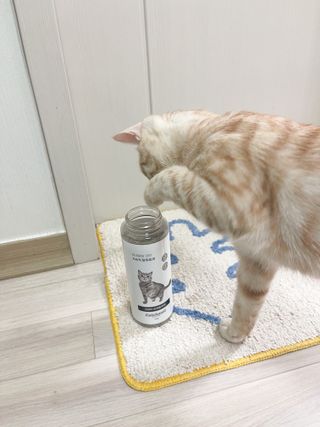 박토리님이 올린 리뷰 사진 3
