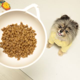 오코리타님이 올린 리뷰 사진 4