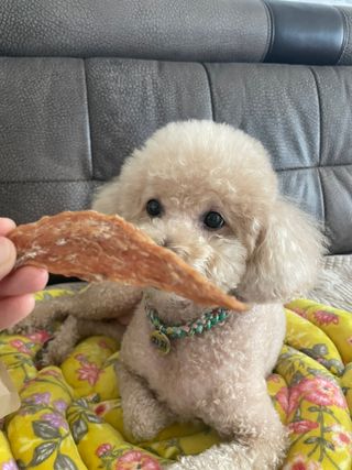 차세라님이 올린 리뷰 사진 1