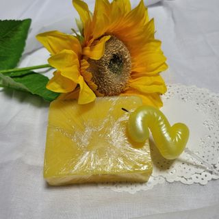 동그라미님이 올린 리뷰 사진 2