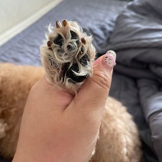 쁘야맘님이 올린 리뷰 사진 3