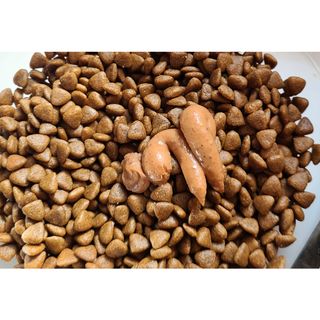 콩콩님이 올린 리뷰 사진 4