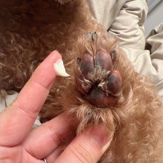프롬님이 올린 리뷰 사진 3