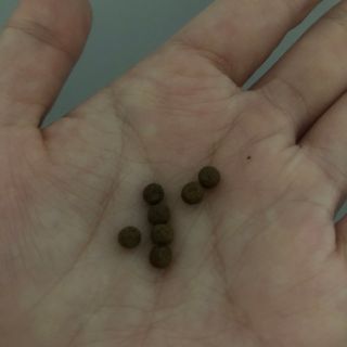 새롬바이오 리생 [미쾌변] 차전자피 식이섬유 건강기능식품 3팩 — 4.5점을 준 리뷰어가 2021년 6월 올린 사용 사진