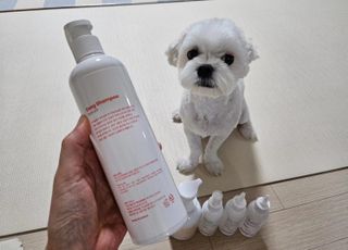 [댕모어 샴푸 2종] 댕샴푸 / 퍼피샴푸  2종 세트 (300ml) — 5점을 준 리뷰어가 2023년 8월 올린 사용 사진