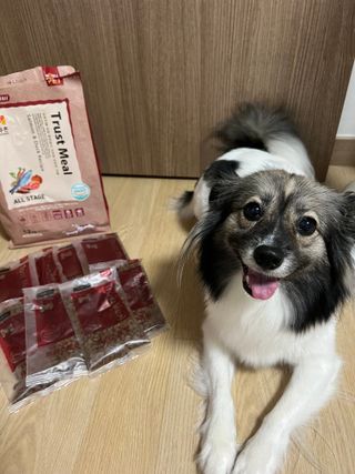 hing20님이 올린 리뷰 사진 1