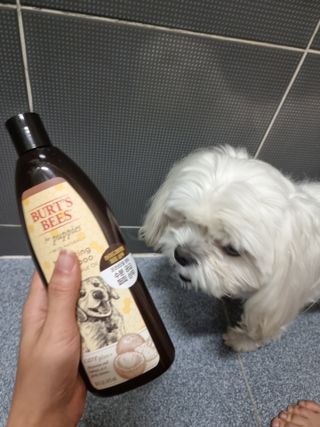 핸이님이 올린 리뷰 사진 1