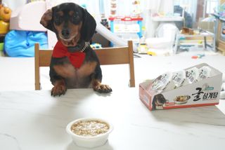 쑹이맘님이 올린 리뷰 사진 1