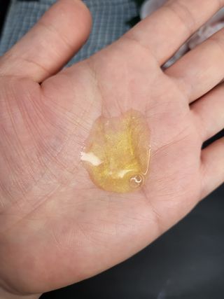 뽀오오옹님이 올린 리뷰 사진 4