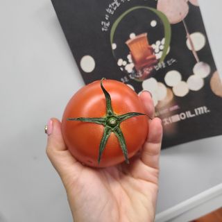 마틸님이 올린 리뷰 사진 3