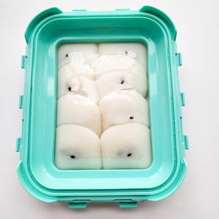 바비엘님이 올린 리뷰 사진 3
