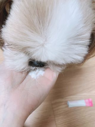박하님이 올린 리뷰 사진 3