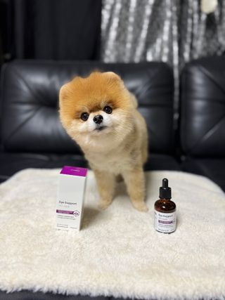 뽀야니님이 올린 리뷰 사진 1