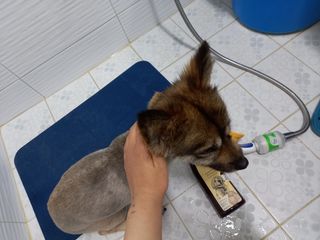 루비셀러님이 올린 리뷰 사진 4