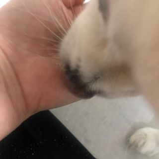 여름님이 올린 리뷰 사진 4