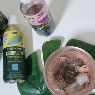 더그레잇티 콤부차 [매일유업] 더그레잇티 44kcal 콤부차 300ml *12개입 (오리지널 6개+베리리치 6개) — 5점을 준 리뷰어가 2023년 7월 올린 사용 사진