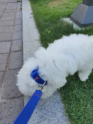 엘쏘둥님이 올린 리뷰 사진 3