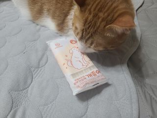 My Pet Care 모발과 모질 피부건강에 개좋아 — 5점을 준 리뷰어가 2021년 3월 올린 사용 사진