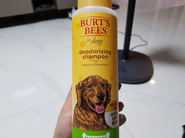 버츠비 데오도라이징 샴푸 리뷰 사진