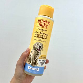 푸른댤님이 올린 리뷰 사진 1