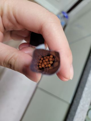 푸름웰니스 부아메라 프로폴리스 도라지 호흡편환 20포 — 5점을 준 리뷰어가 2022년 1월 올린 사용 사진