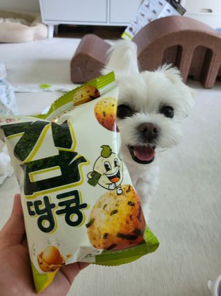 오리온 오징어땅콩의 짭짤고소 신제품, 구운김땅콩 — 4.5점을 준 리뷰어가 2022년 5월 올린 사용 사진