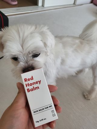 [레드허니밤]자유펫 고양이 강아지 발바닥 밤 14g — 5점을 준 리뷰어가 2021년 10월 올린 사용 사진