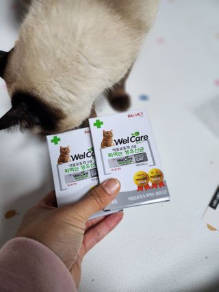헤네짱님이 올린 리뷰 사진 1
