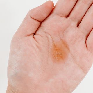 체코 비건화장품 마뉴팍투라 향좋은 천연 맥주샴푸 맥주샤워젤 — 5점을 준 리뷰어가 2022년 5월 올린 사용 사진