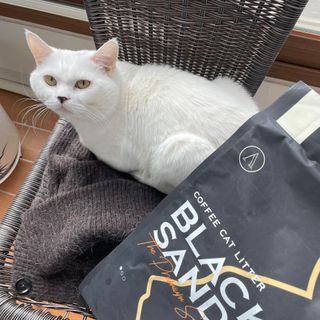뉸뉸냔냐님이 올린 리뷰 사진 1