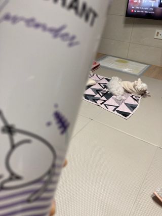 럽티네버님이 올린 리뷰 사진 3