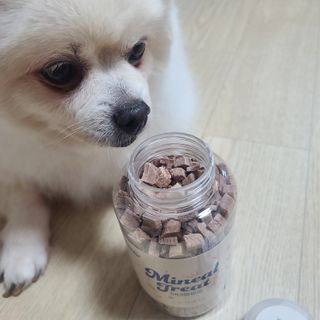 프롬씨 미네랄 소고기트릿 / 미네랄 치킨트릿 / 미네랄 북어트릿 (3가지 상품 중 랜덤 1가지 상품 랜덤 발송) — 5점을 준 리뷰어가 2022년 12월 올린 사용 사진