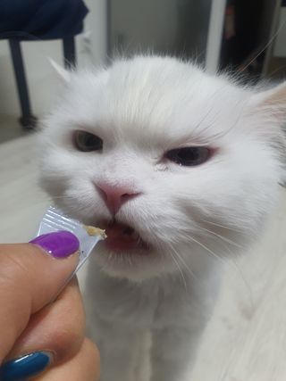 poochi님이 올린 리뷰 사진 4