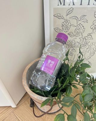 몽베스트 [MONTBEST] 330mL 20병 — 5점을 준 리뷰어가 2024년 1월 올린 사용 사진