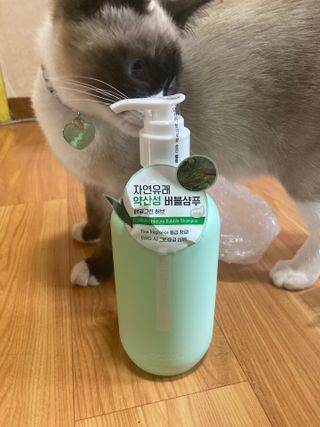 잇슈님이 올린 리뷰 사진 1